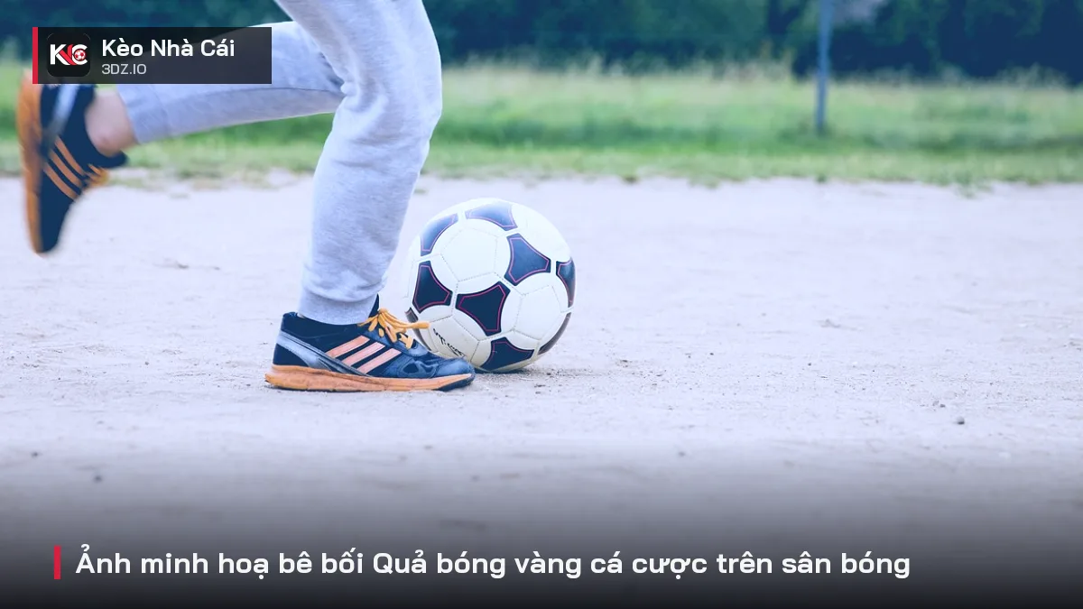 Ảnh minh hoạ bê bối Quả bóng vàng cá cược trên sân bóng