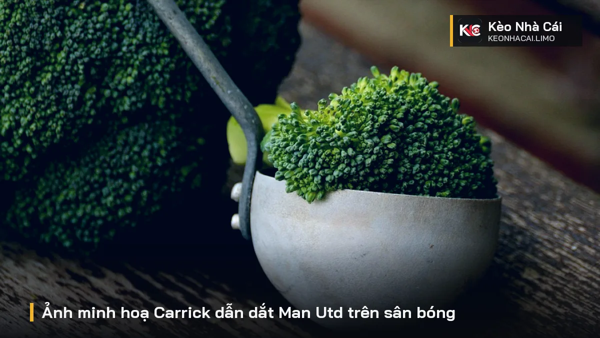 Ảnh minh hoạ Carrick dẫn dắt Man Utd trên sân bóng