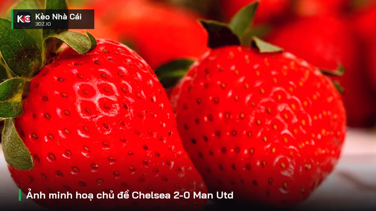 Ảnh minh hoạ chủ đề Chelsea 2-0 Man Utd