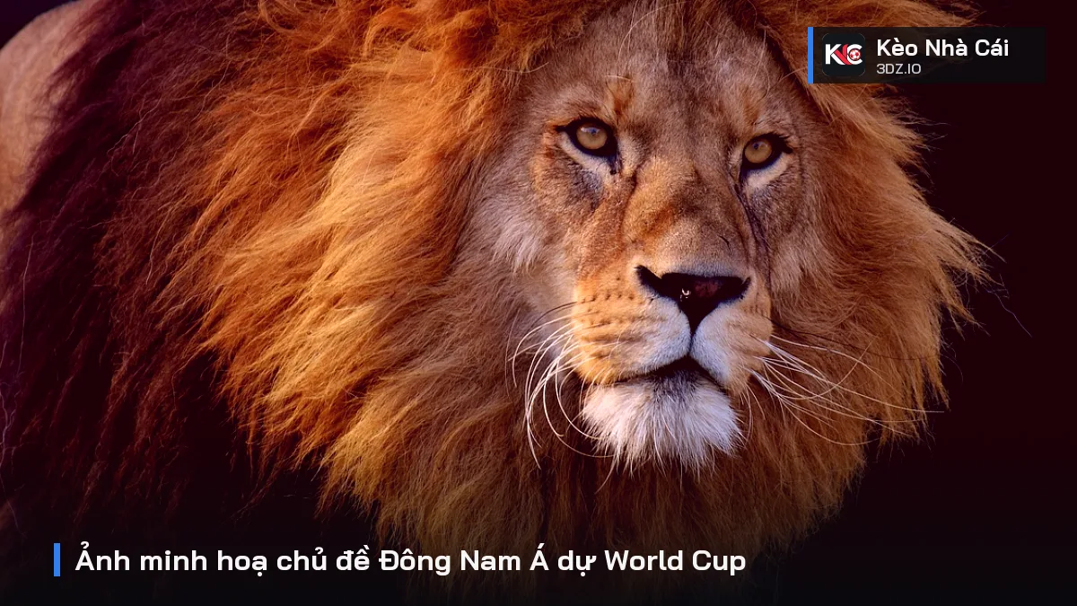 Ảnh minh hoạ chủ đề Đông Nam Á dự World Cup