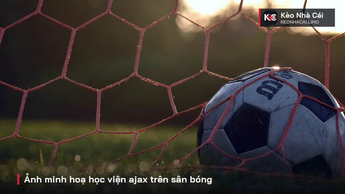 Ảnh minh hoạ học viện ajax trên sân bóng