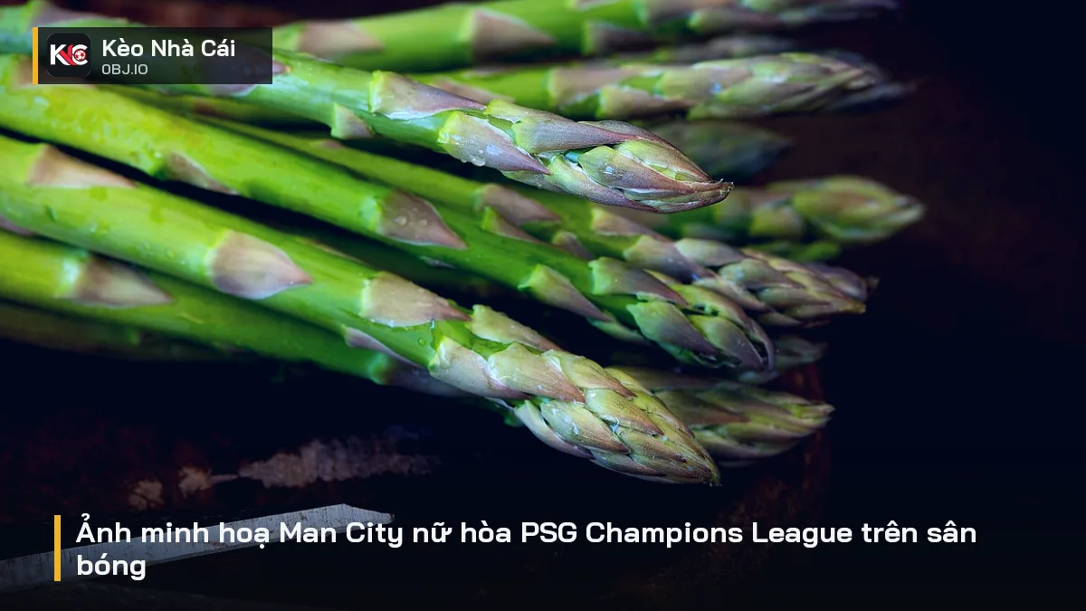 Ảnh minh hoạ Man City nữ hòa PSG Champions League trên sân bóng