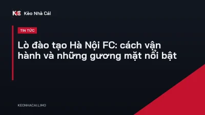 Lò đào tạo Hà Nội FC: cách vận hành và những gương mặt nổi bật