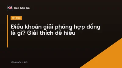 Điều khoản giải phóng hợp đồng là gì? Giải thích dễ hiểu