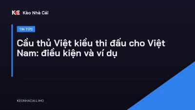 Cầu thủ Việt kiều thi đấu cho Việt Nam: điều kiện và ví dụ