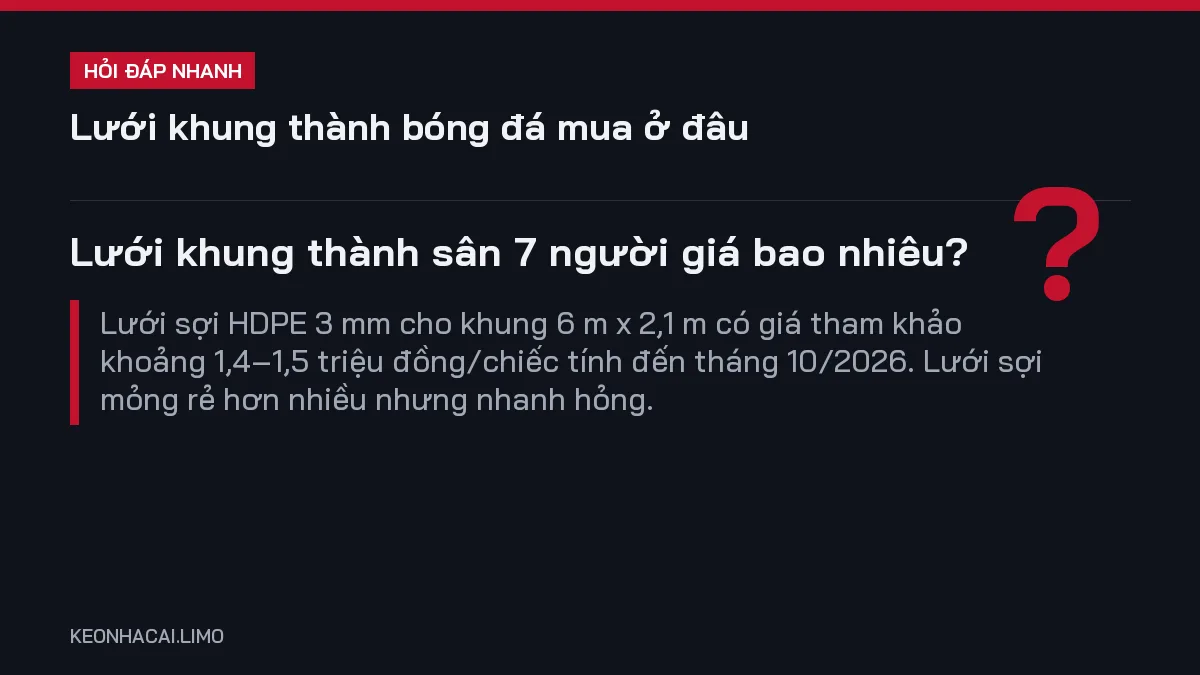 Hỏi đáp nhanh lưới khung thành bóng đá mua ở đâu: Lưới khung thành sân 7 người giá bao nhiêu