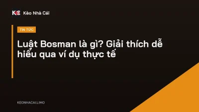 Luật Bosman là gì? Giải thích dễ hiểu qua ví dụ thực tế