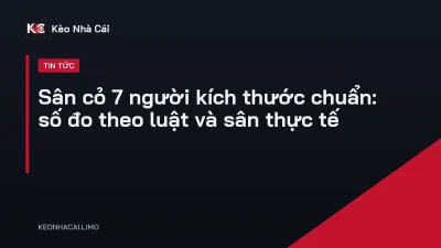 Sân cỏ 7 người kích thước chuẩn: số đo theo luật và sân thực tế
