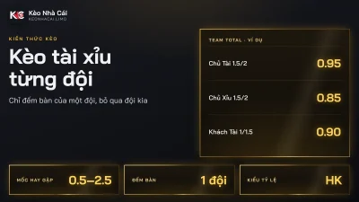Kèo tài xỉu từng đội là gì? Cách tính mốc 0.5, 1.5 và mốc 1/4