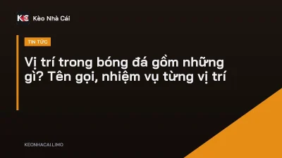 Vị trí trong bóng đá gồm những gì? Tên gọi, nhiệm vụ từng vị trí